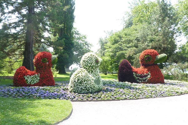 Ausflug-Mainau 017