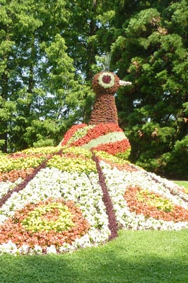 Ausflug-Mainau 018