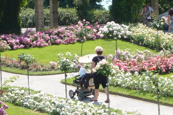 Ausflug-Mainau 060