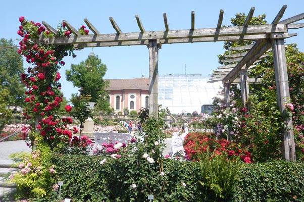 Ausflug-Mainau 073