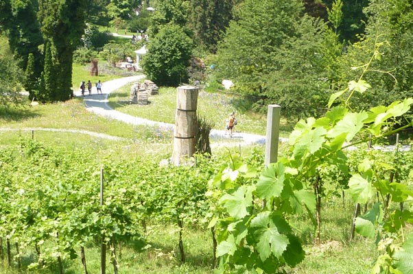 Ausflug-Mainau 085