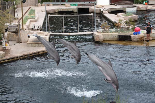 Zoo-Nuernberg 280